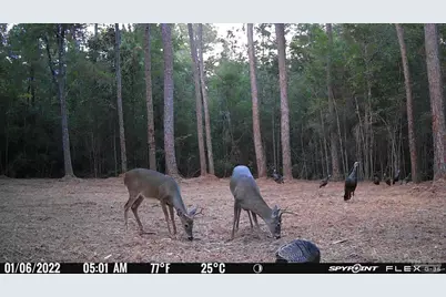 23 Acres Munson Hwy, Milton, FL 32570 - Photo 15