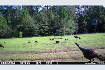 23 Acres Munson Hwy, Milton, FL 32570 - Photo 17