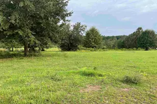 Tbd Ten Mile Rd, Pace, FL 32571 - Photo 1