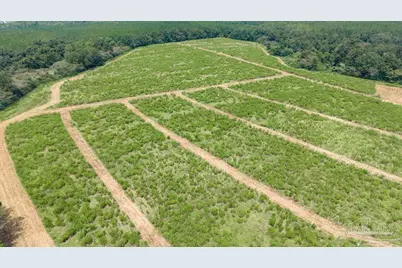 Lot 3 Whistler Ln, Jay, FL 32565 - Photo 3