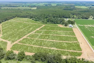 Lot 1 Whistler Ln, Jay, FL 32565 - Photo 1