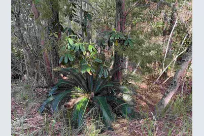 Riola Pl, Pensacola, FL 32506 - Photo 11