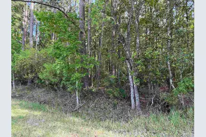 Riola Pl, Pensacola, FL 32506 - Photo 25