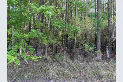 Riola Pl, Pensacola, FL 32506 - Photo 23