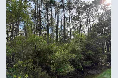 Riola Pl, Pensacola, FL 32506 - Photo 3