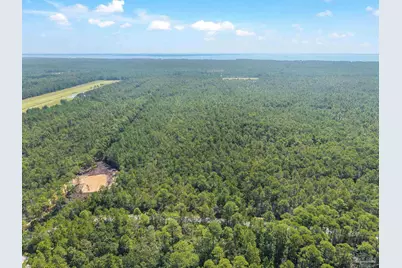 Parcel 1 Pearson Rd, Milton, FL 32583 - Photo 17