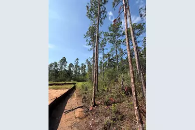 000 N 23rd Ave, Milton, FL 32583 - Photo 5