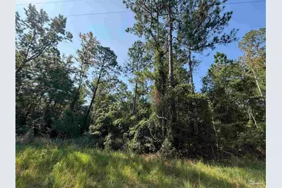 000 N 8th Ave, Milton, FL 32583 - Photo 3