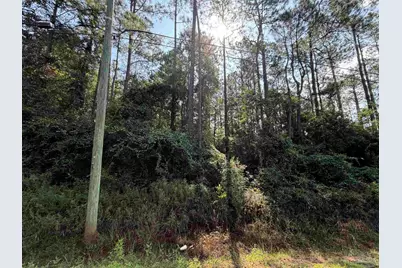 000 N 14th Ave, Milton, FL 32583 - Photo 5