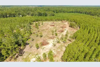 4920 Richardson Rd, Molino, FL 32577 - Photo 11