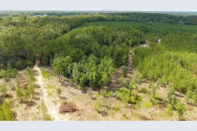 4920 Richardson Rd, Molino, FL 32577 - Photo 9