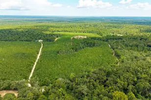 4920 Richardson Rd, Molino, FL 32577 - Photo 1