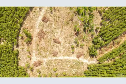 4920 Richardson Rd, Molino, FL 32577 - Photo 13