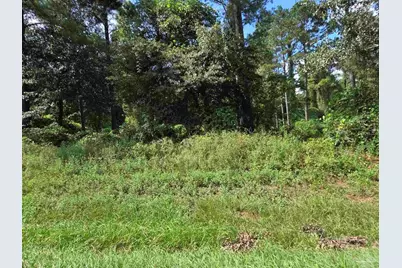 7470 Bratt Rd, Century, FL 32535 - Photo 3