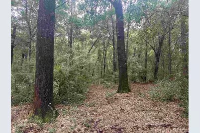 0001 Blk McInnis St, Milton, FL 32583 - Photo 3