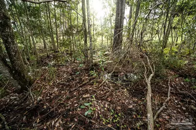 5073 Oneida Trl, Milton, FL 32583 - Photo 27