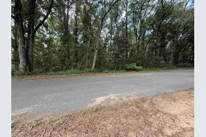 Lot 1 Watermill Rd, Jay, FL 32565 - Photo 3