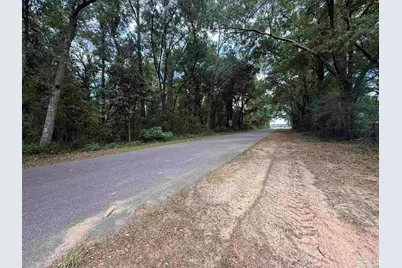 Lot 5 Watermill Rd, Jay, FL 32565 - Photo 3