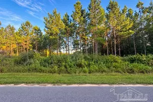 7282 Buffalo Ridge Rd, Pace, FL 32571 - Photo 1