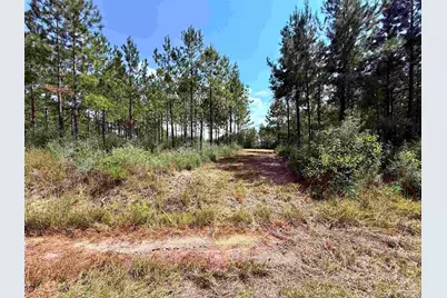 7282 Buffalo Ridge Rd, Pace, FL 32571 - Photo 3