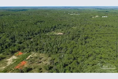 15 Acres Native Creek Rd, Pace, FL 32571 - Photo 5