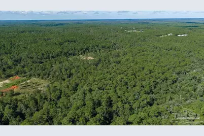 15 Acres Native Creek Rd, Pace, FL 32571 - Photo 7