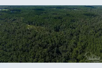 18.69 Acres Native Creek Rd, Pace, FL 32571 - Photo 1