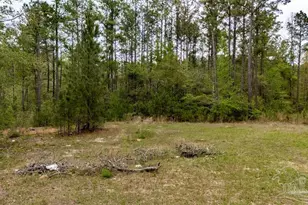 4660 Morristown Rd, Jay, FL 32565 - Photo 17