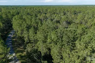 3 54 Acres Oser Rd, Milton, FL 32570 - Photo 1