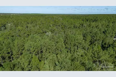 3.13 Acres Oser Rd, Milton, FL 32570 - Photo 5