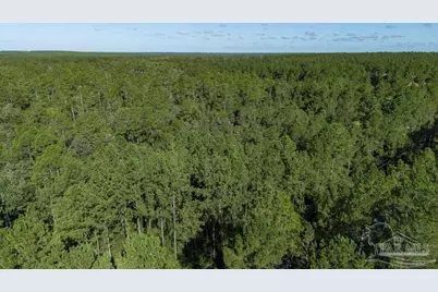 3.13 Acres Oser Rd, Milton, FL 32570 - Photo 3