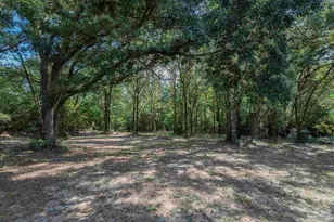17105 Givens Ln, Bay Minette, AL 36507 - Photo 63