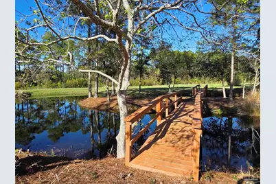 1164 Pearson Rd, Milton, FL 32583 - Photo 15