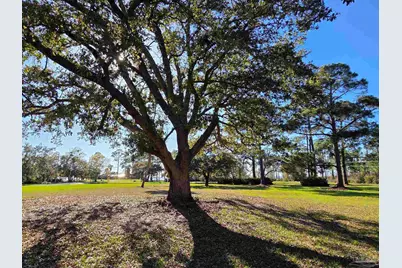 1164 Pearson Rd, Milton, FL 32583 - Photo 13