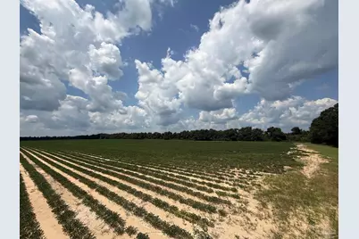 Lot 40 Deloach Ln, Milton, FL 32570 - Photo 5