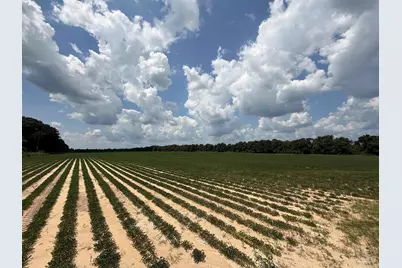 Lot 40 Deloach Ln, Milton, FL 32570 - Photo 11