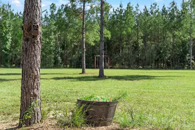 2742 Bud Diamond Rd, Jay, FL 32565 - Photo 51