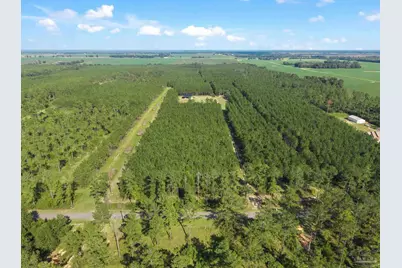 2742 Bud Diamond Rd, Jay, FL 32565 - Photo 11