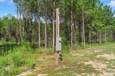 2742 Bud Diamond Rd, Jay, FL 32565 - Photo 37