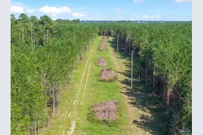 2742 Bud Diamond Rd, Jay, FL 32565 - Photo 15