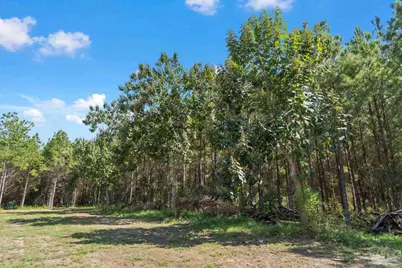 2742 Bud Diamond Rd, Jay, FL 32565 - Photo 31