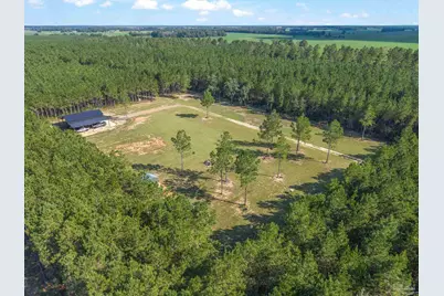 2742 Bud Diamond Rd, Jay, FL 32565 - Photo 9