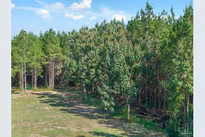 2742 Bud Diamond Rd, Jay, FL 32565 - Photo 19