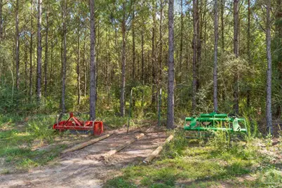2742 Bud Diamond Rd, Jay, FL 32565 - Photo 33
