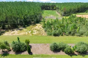 63 Naturewalk Dr, Pace, FL 32571 - Photo 1