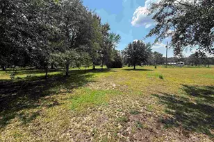 21389 Glass and Spivey Rd, Robertsdale, AL 36567 - Photo 5