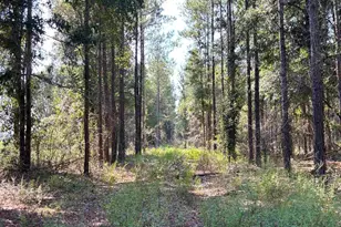 Lot 74 Posie Forest Rd, Milton, FL 32570 - Photo 1