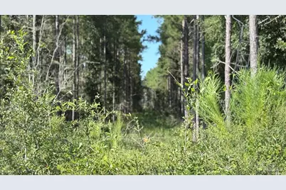 Lot 74 Posie Forest Rd, Milton, FL 32570 - Photo 5