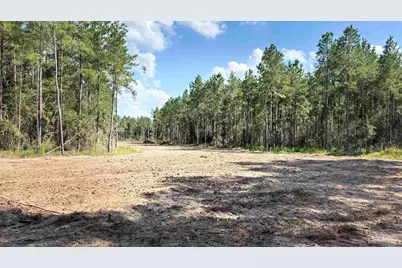 Lot 74 Posie Forest Rd, Milton, FL 32570 - Photo 9