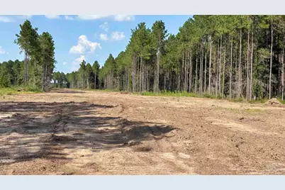 Lot 74 Posie Forest Rd, Milton, FL 32570 - Photo 3